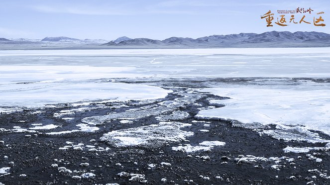 The Hidden Land: Back to No Man's Land in Northern Tibet - Cartões lobby