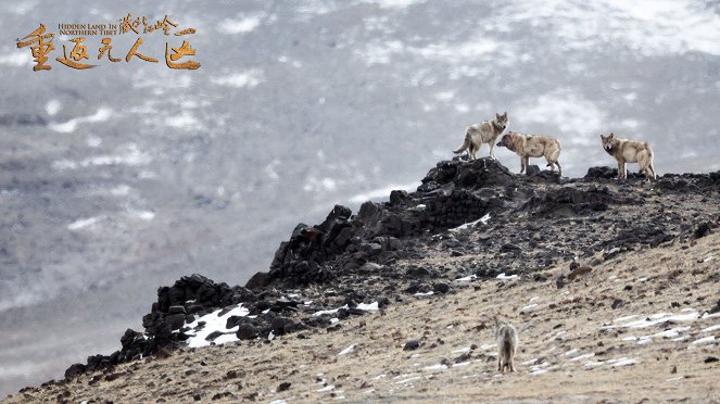 The Hidden Land: Back to No Man's Land in Northern Tibet - Cartões lobby