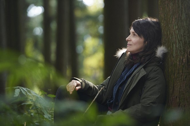 Die Blüte des Einklangs - Filmfotos - Juliette Binoche