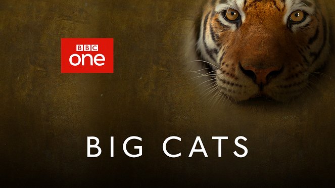 Big Cats - Promoción