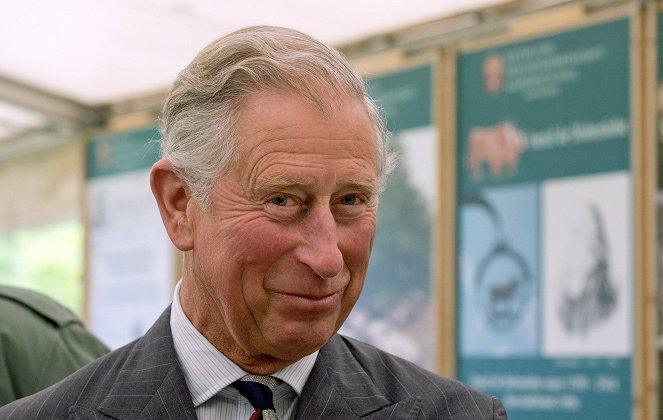 ZDFzeit: Der unterschätzte Thronfolger - Prinz Charles wird 70 - De la película - Carlos III del Reino Unido