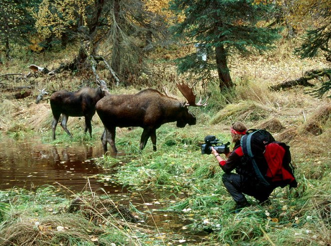 Abenteuer Yukon - Durchs wilde Herz Kanadas - Tournage