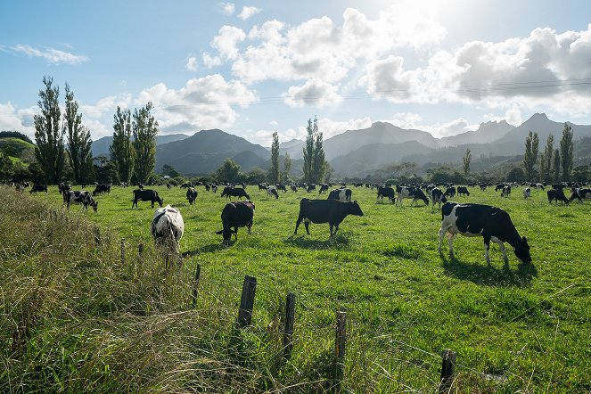 Na cestě - Na cestě po novozélandském Coromandelu - Filmfotók