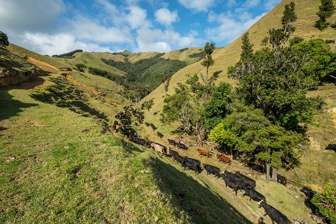 Na cestě - Na cestě po novozélandském Coromandelu - Filmfotók