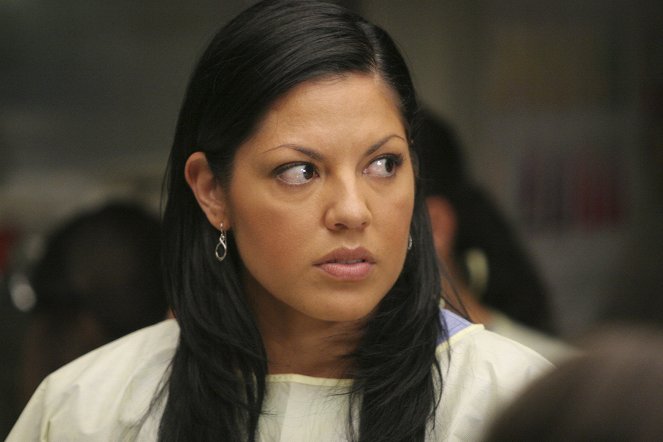 Grey's Anatomy - Season 4 - Freedom: Part 1 - Van film - Sara Ramirez