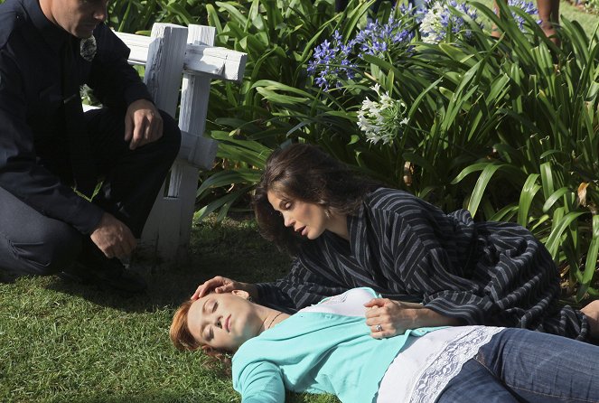 Desperate Housewives - Season 6 - Being Alive - Photos - Andrea Bowen, Teri Hatcher