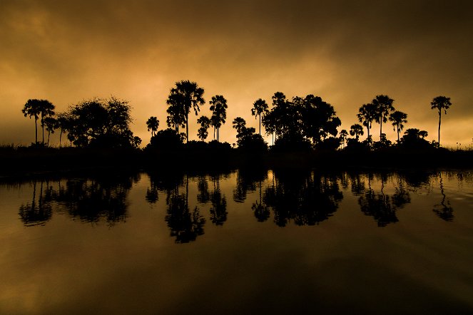 Mágikus Okavango-delta - Filmfotók