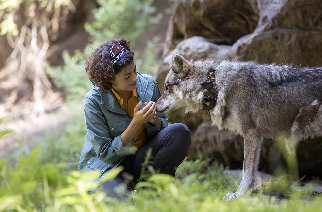 Der Ranger - Paradies Heimat - Wolfsspuren - De la película - Liza Tzschirner