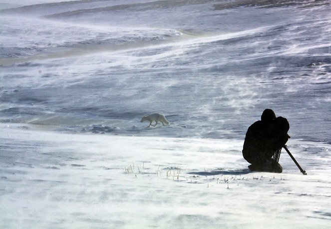 Unter Eisbären - Abenteuer in Russlands Arktis - Z filmu