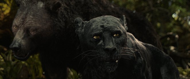 Mowgli : La légende de la jungle - Film
