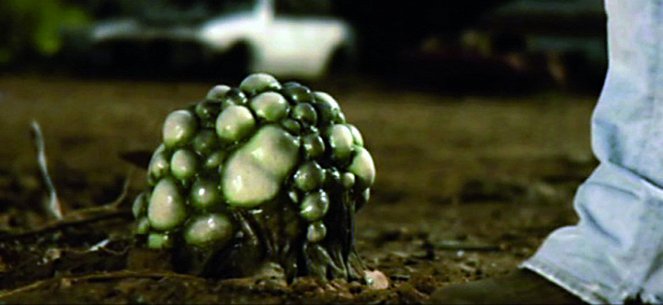 Alien Opponent - Kuvat elokuvasta