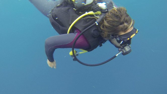 Ponta do Ouro Partial Marine Reserve - Z filmu