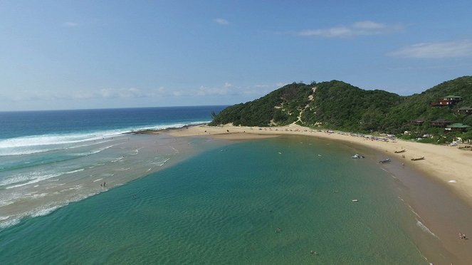 Mořská rezervace Ponta do Ouro - Z filmu