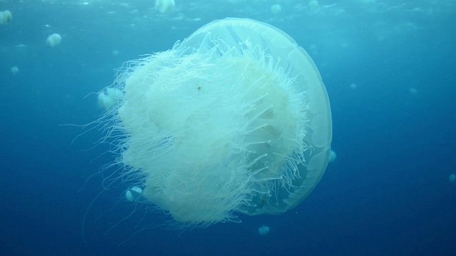 Bazaruto Archipelago National Park - Photos