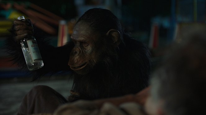 Godina na majmunot - Do filme