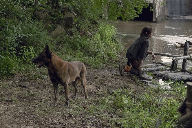 The Walking Dead - Em busca de ajuda - Do filme