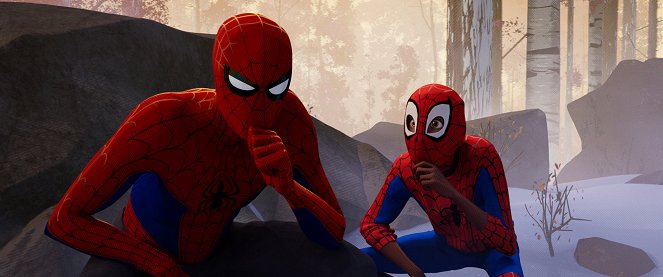 Spider-Man: Into the Spider-Verse - Van film
