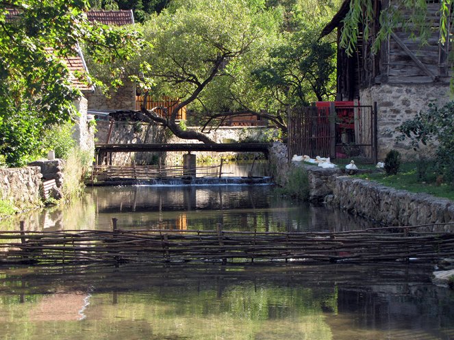 Divočina bez hranic - Aggteleki Nemzeti Park - Kuvat elokuvasta