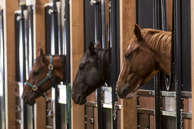 Heartland - Paradies für Pferde - Zur falschen Zeit am falschen Ort - Filmfotos