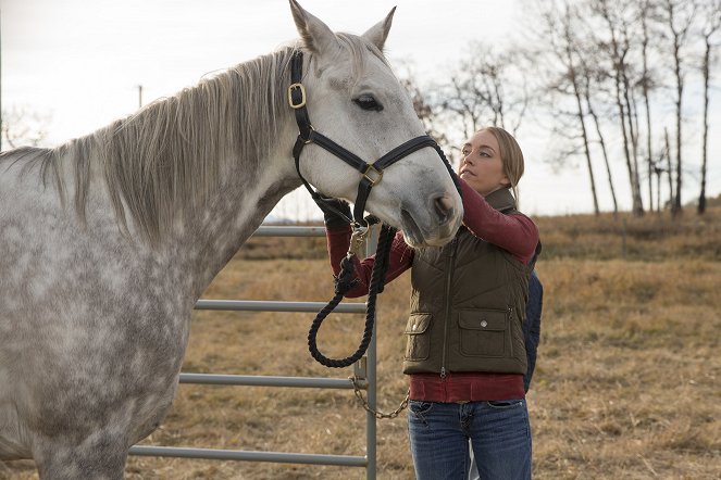 Heartland - La ruta perdida - De la película - Amber Marshall