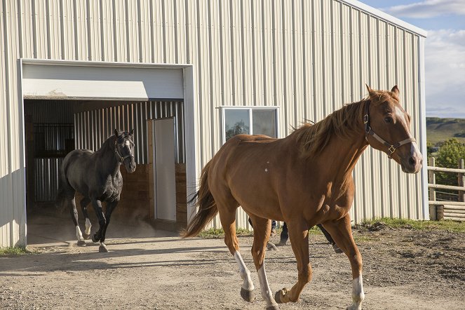 Heartland - Paradies für Pferde - Season 7 - Der aufrechte Gang - Filmfotos