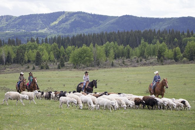 Heartland - Paradies für Pferde - Season 7 - Der Groschen fällt - Filmfotos