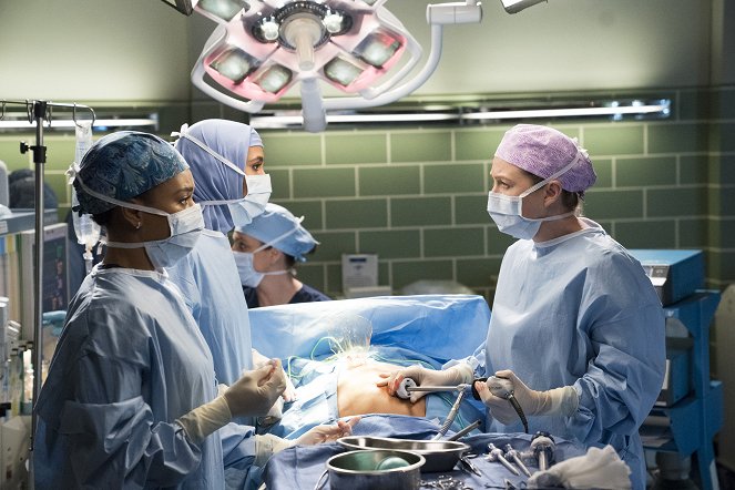 Chirurdzy - Season 15 - Niesione przez wiatr - Z filmu - Kelly McCreary, Sophia Ali, Ellen Pompeo
