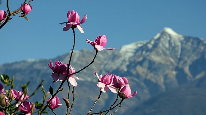Wunderwelt Schweiz - Das Tessin - Filmfotos