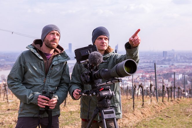 Universum: Turmfalken - Jäger der Großstadt - Filmfotók