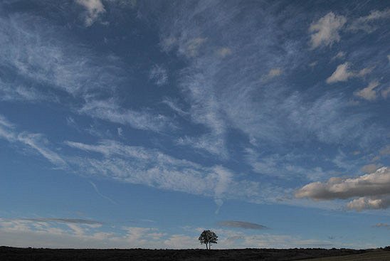 Facing the Wind - Photos