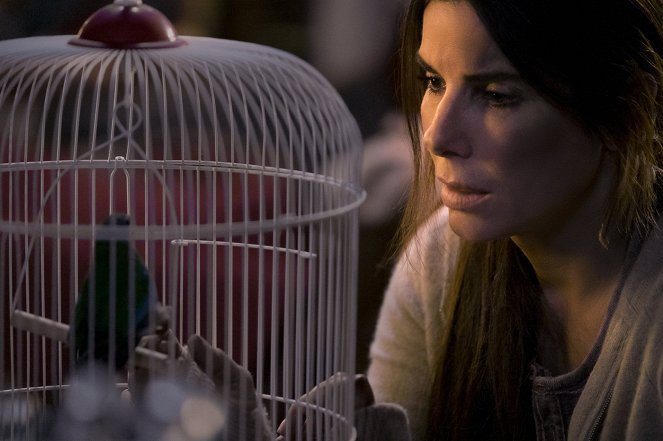 Bird Box - Van film - Sandra Bullock