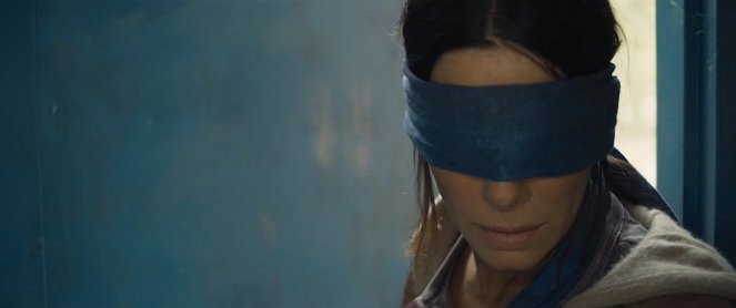 Bird Box - Van film - Sandra Bullock