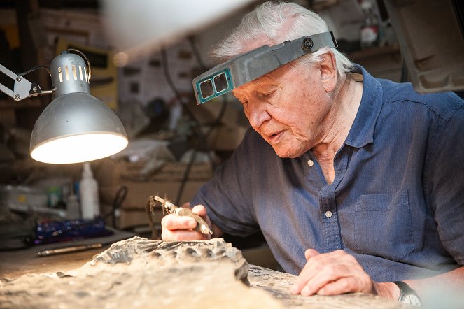 Attenborough and the Sea Dragon - Photos - David Attenborough