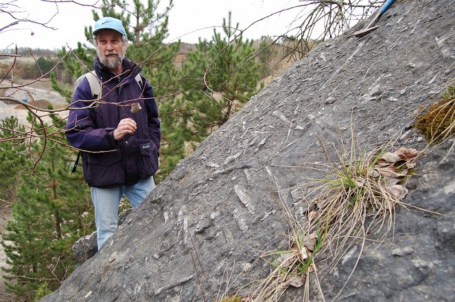 Cesta ke kameni - Trať hledačů trilobitů - Photos
