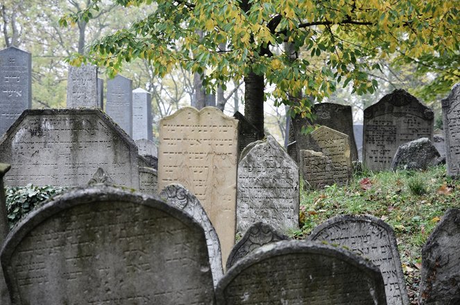 Hádanky domů života - Mikulovská brána do židovské duše - Photos