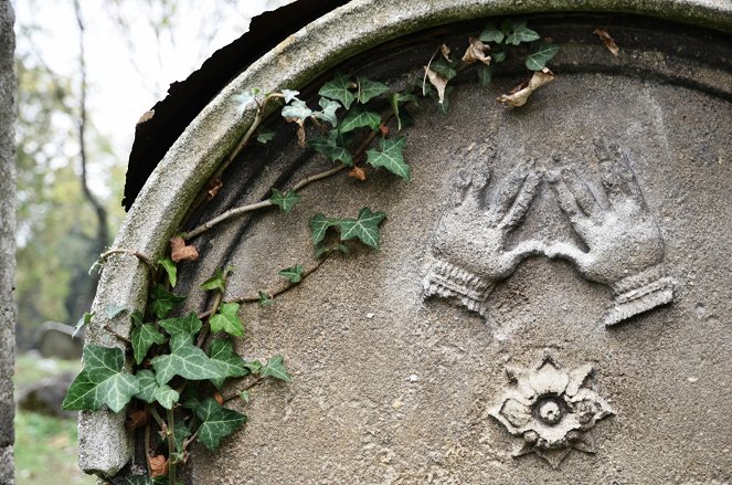 Hádanky domů života - Mikulovská brána do židovské duše - Photos