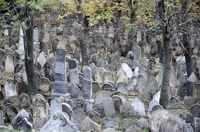 Hádanky domů života - Mikulovská brána do židovské duše - Photos