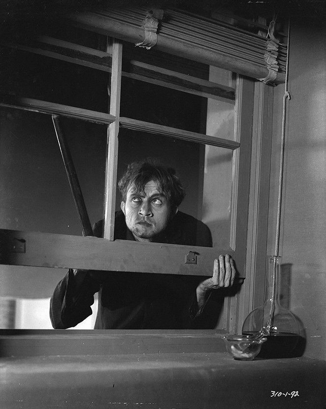 Frankenstein - Filmfotos - Dwight Frye