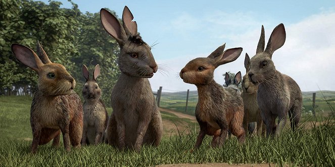 La Colline aux lapins - Le Voyage - Film