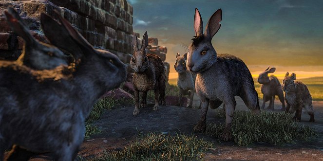 Watership Down - The Journey - Photos