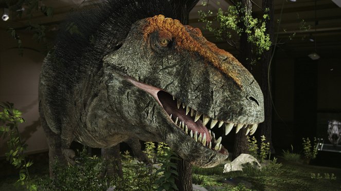 T-Rex: Das wahre Biest hinter der Legende - Filmfotos
