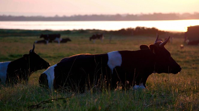 Au bonheur des vaches - Filmfotók