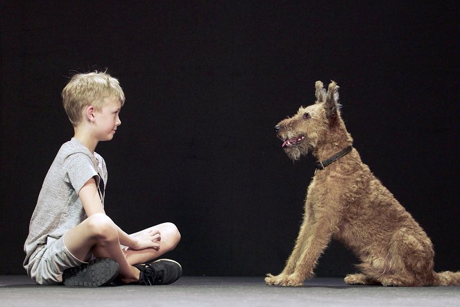 Koira ja ihminen - Kuvat elokuvasta