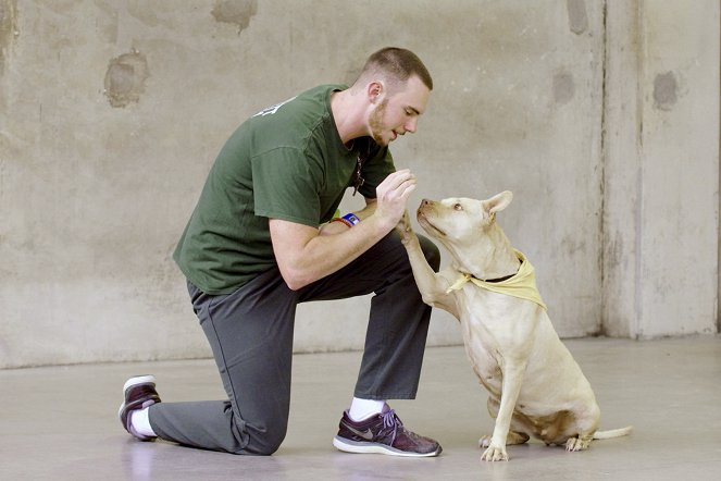 Hund und Mensch - Das Geheimnis einer Freundschaft - Filmfotos