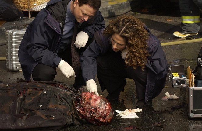 CSI: NY - Season 1 - Rain - Photos - Gary Sinise, Melina Kanakaredes