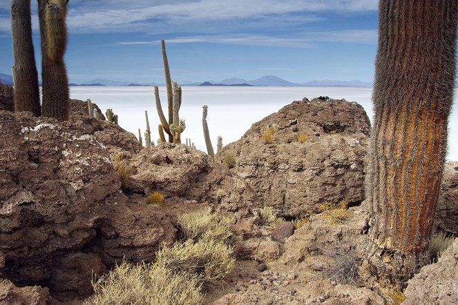 Die Anden - Natur am Limit - Wüstes Hochland - Z filmu