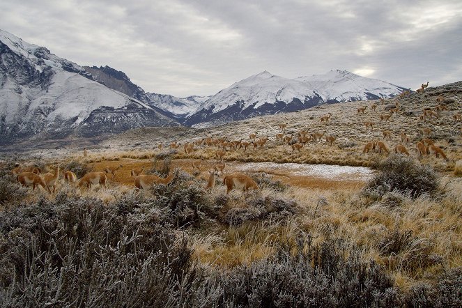 Die Anden - Natur am Limit - Raues Patagonien - Filmfotos