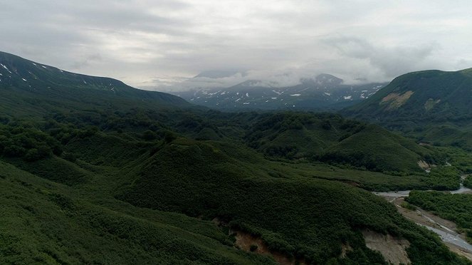 Kamchatka Bears. Life Begins - Photos