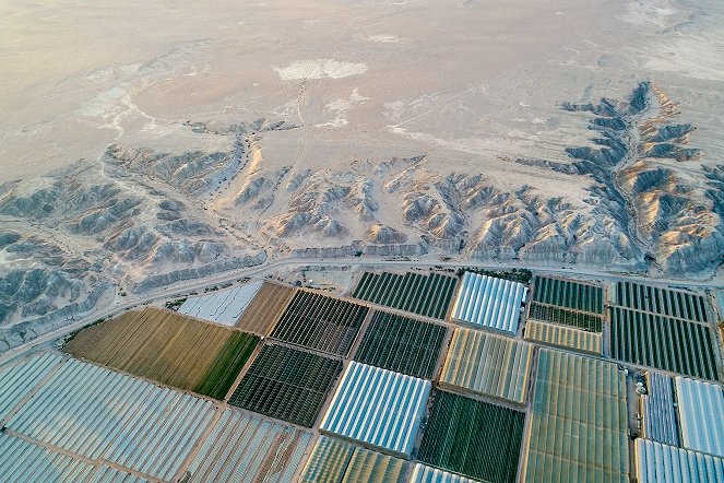 Israel - Land of Contrasts: The South: Salt of the Earth - Photos