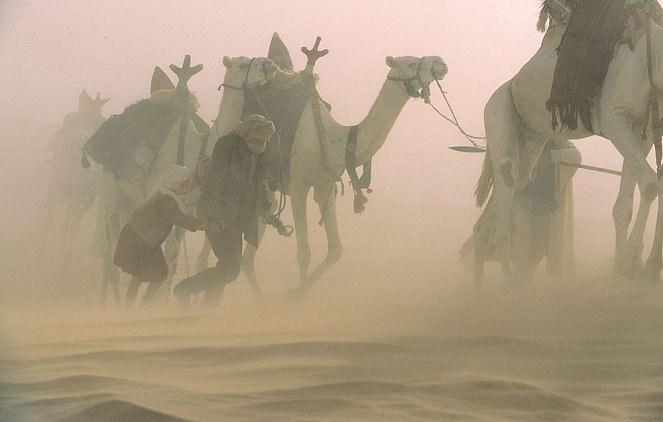 Sivatagban, őserdőben - Filmfotók